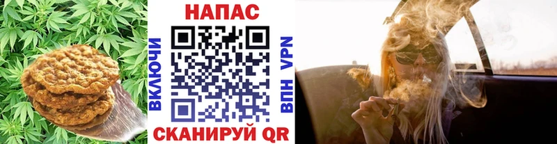 Canna-Cookies конопля Сычёвка