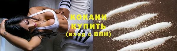 сатива Кулебаки