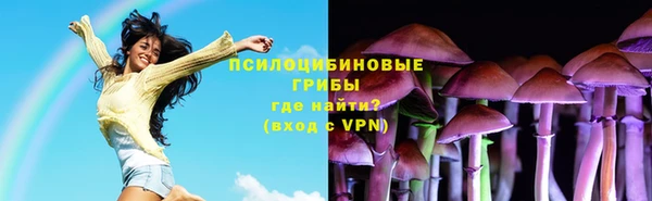 ешки Краснослободск