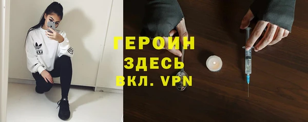 сатива Кулебаки