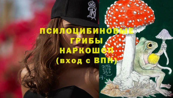 сатива Кулебаки