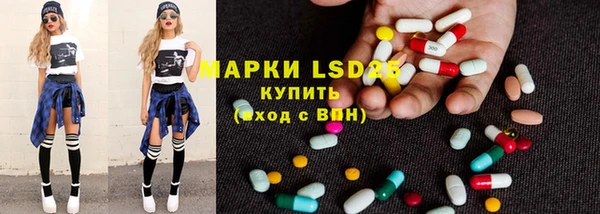сатива Кулебаки