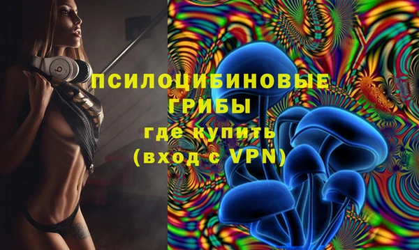 сатива Кулебаки