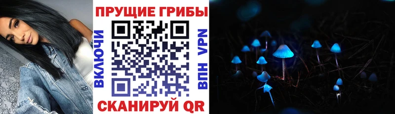 купить   Сычёвка  Галлюциногенные грибы ЛСД 